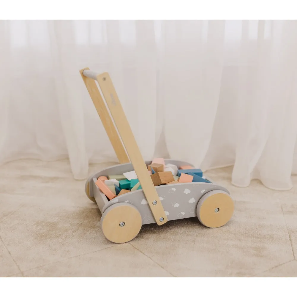 Bubble Wooden Baby Push Cart & Walker with 45 Building Blocks