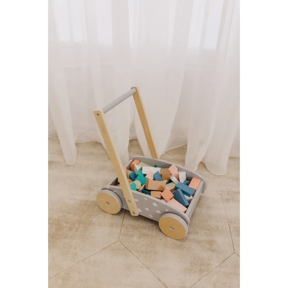 Bubble Wooden Baby Push Cart & Walker with 45 Building Blocks