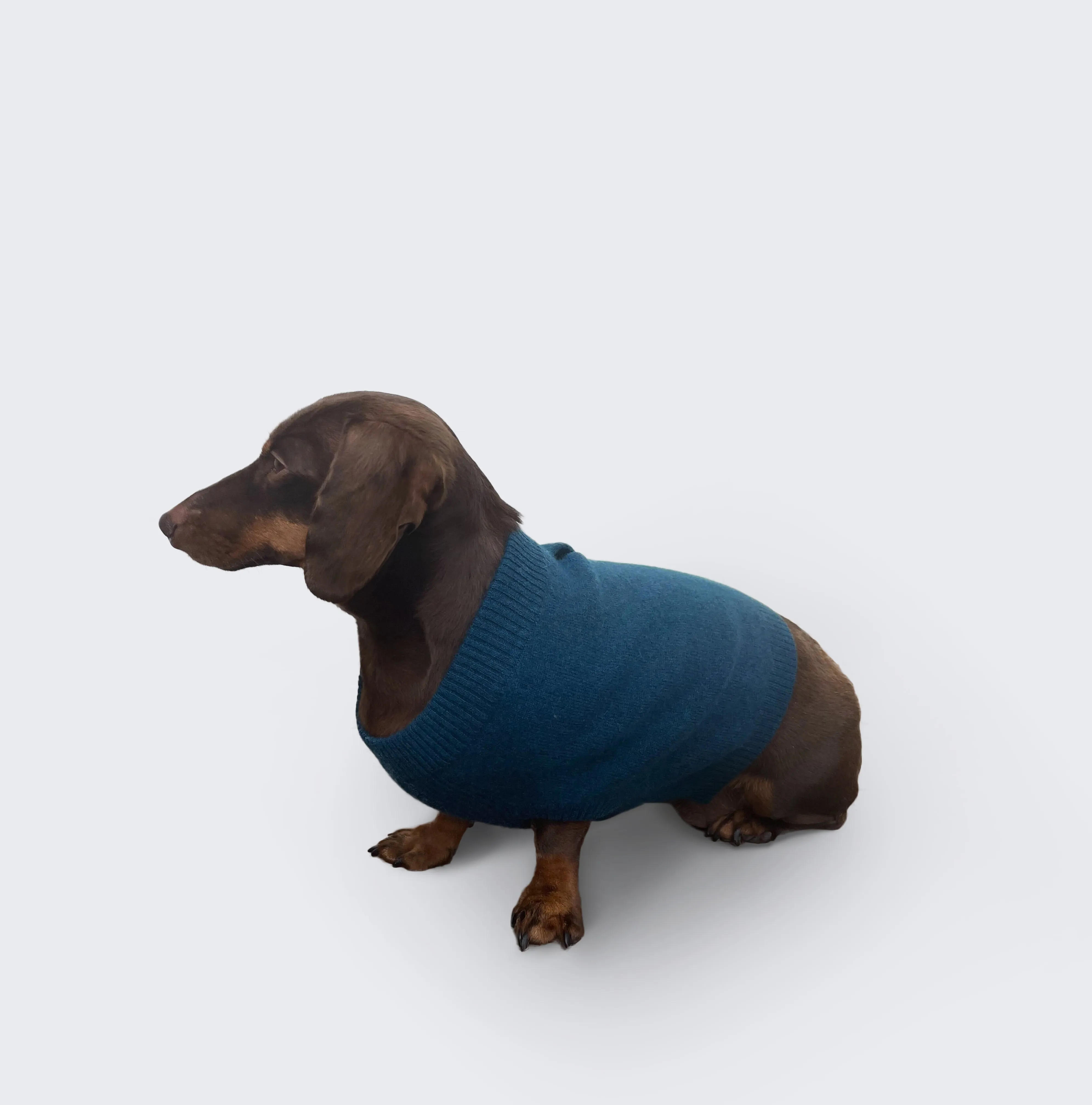 Cashmere Dog Sweater