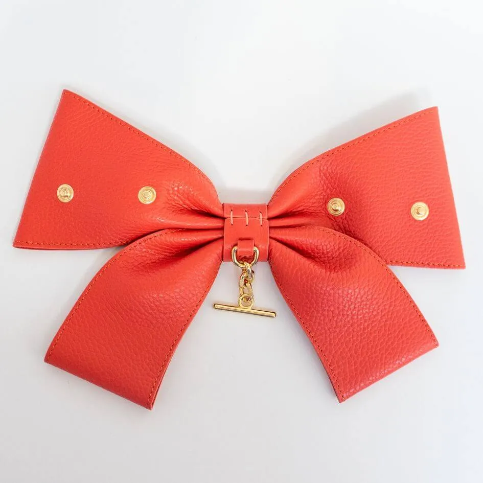 Deco Bow - Pop of Colour