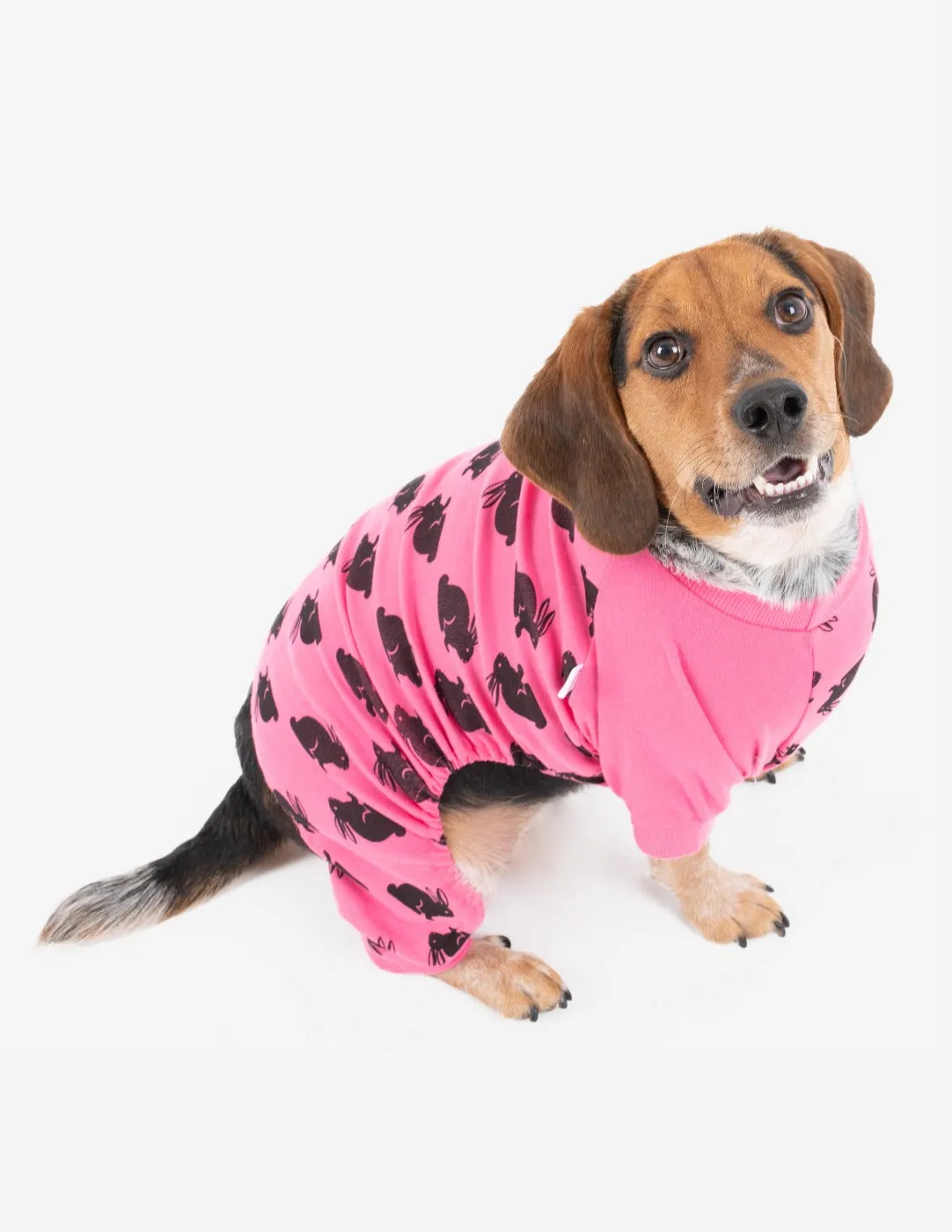 Dog Bunny Pajamas