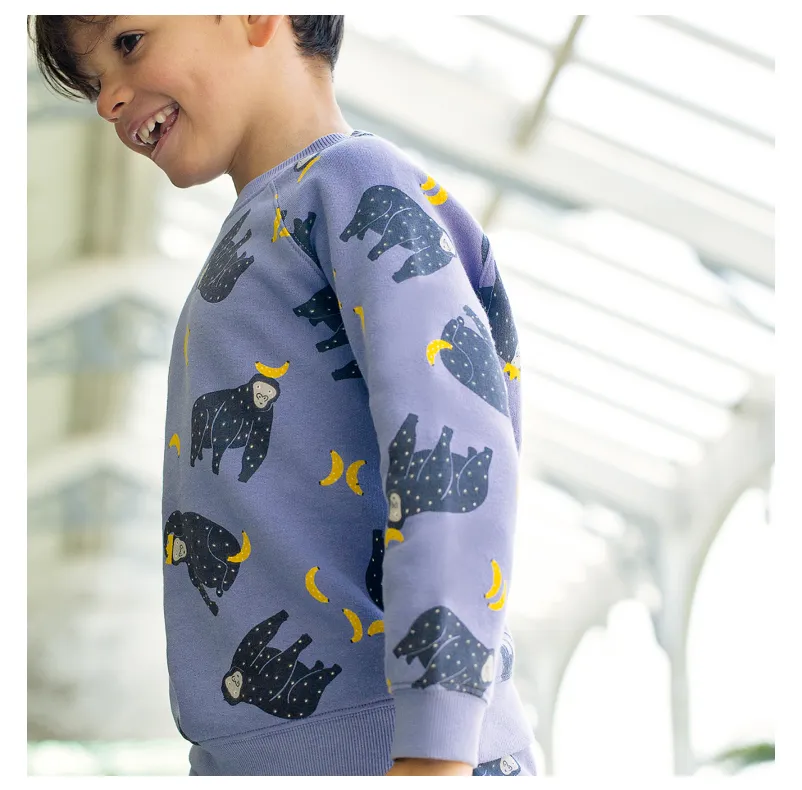 Frugi Switch Rex Jumper - Monkeying Around