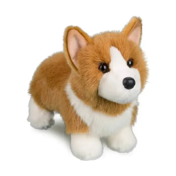 Louie Corgi 10