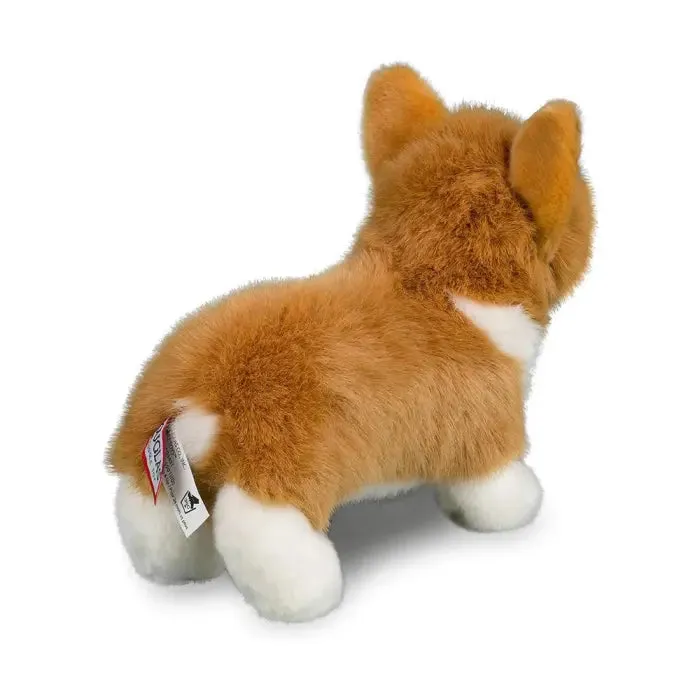 Louie Corgi 10