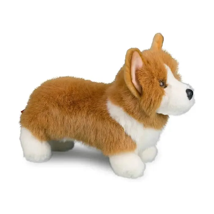 Louie Corgi 10