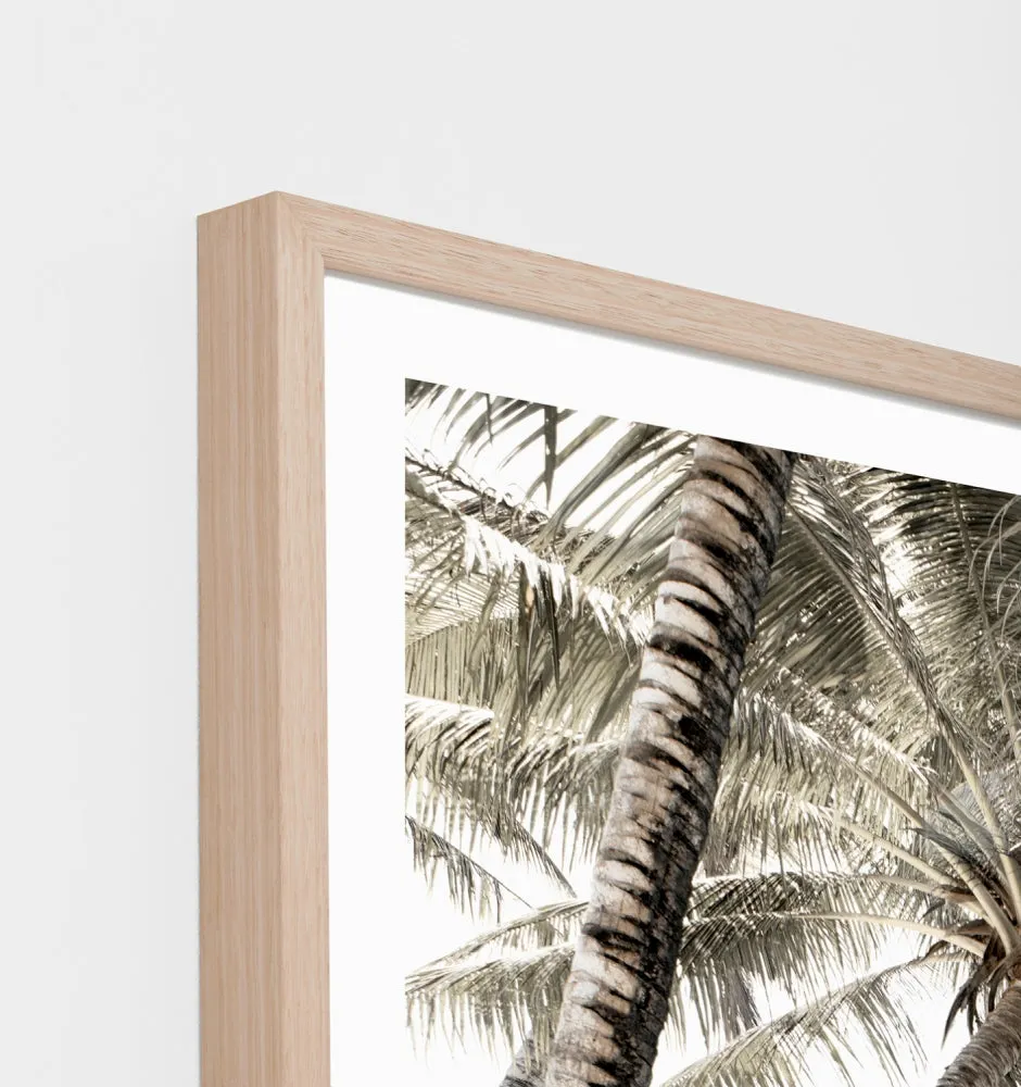 Peaceful Palms Framed Print