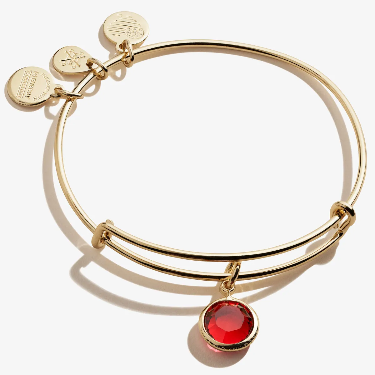 Scarlet Birthstone Charm Bangle, January