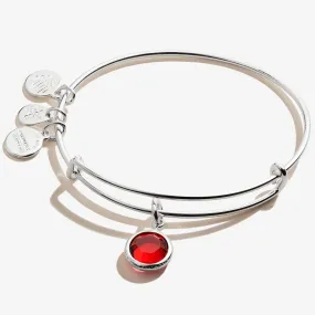 Scarlet Birthstone Charm Bangle, January