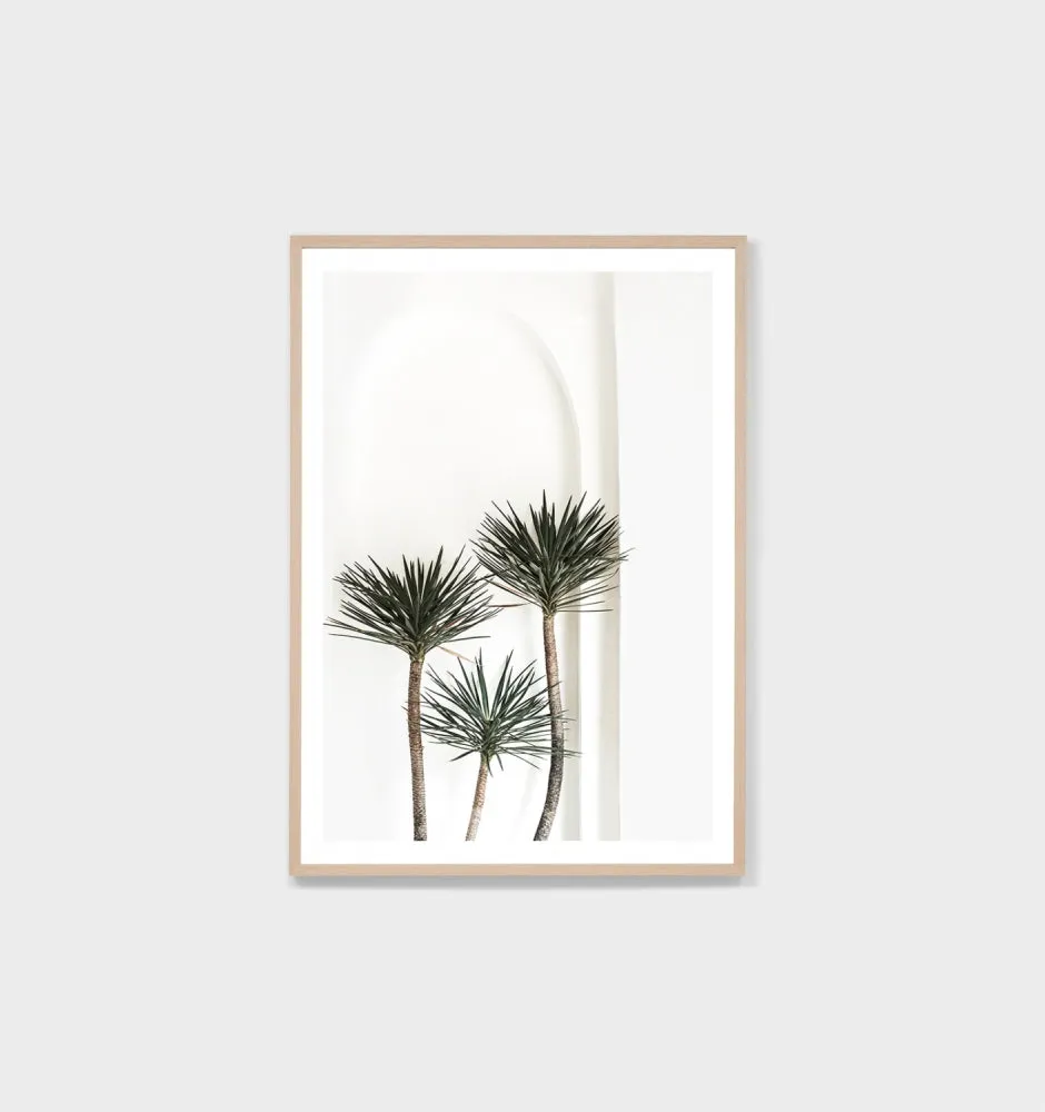 Yucca Archway Framed Print